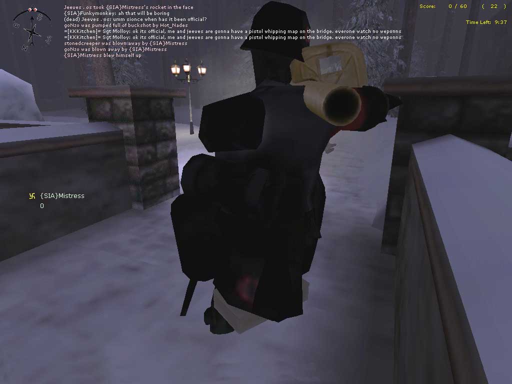 siamistress03.jpg